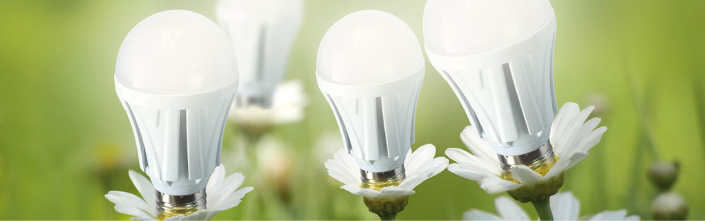 Titelbild_Glühlampenblumen